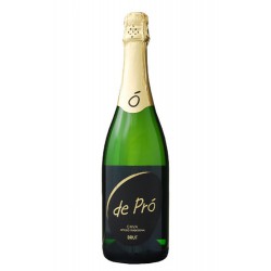 CAVA - DE PRÓ BRUT SCHUIM/WIT